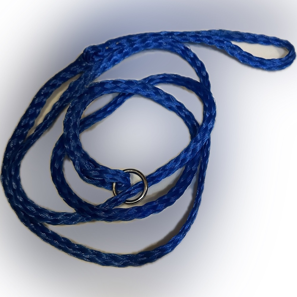 BLUE BRAIDED POLYURETHANE ROPE DOG LEASH SLIP LEAD WALK TRANSFER PUPPY PET 6FT